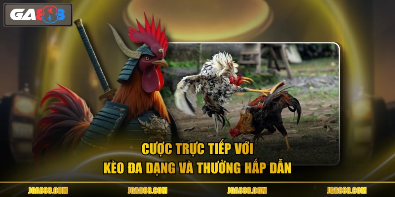 Cược trực tiếp với kèo đa dạng và thưởng hấp dẫn