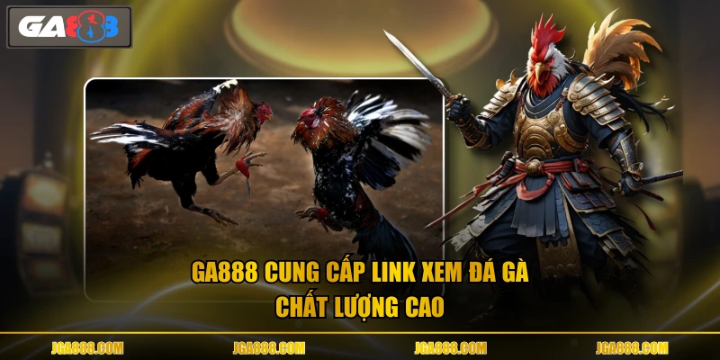 GA888 cung cấp link xem đá gà chất lượng cao