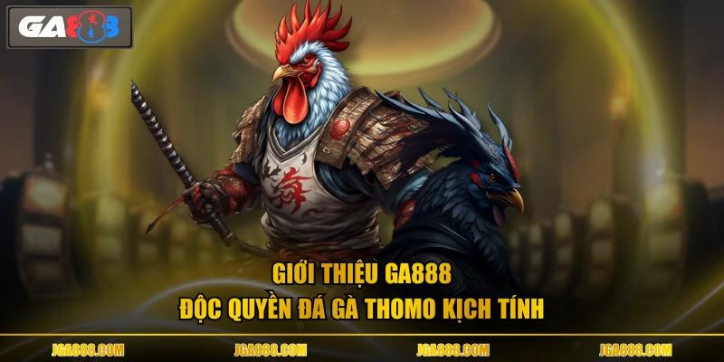 Giới thiệu GA888 độc quyền đá gà Thomo kịch tính
