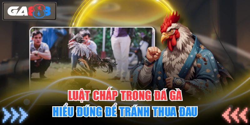 Luật chấp trong đá gà