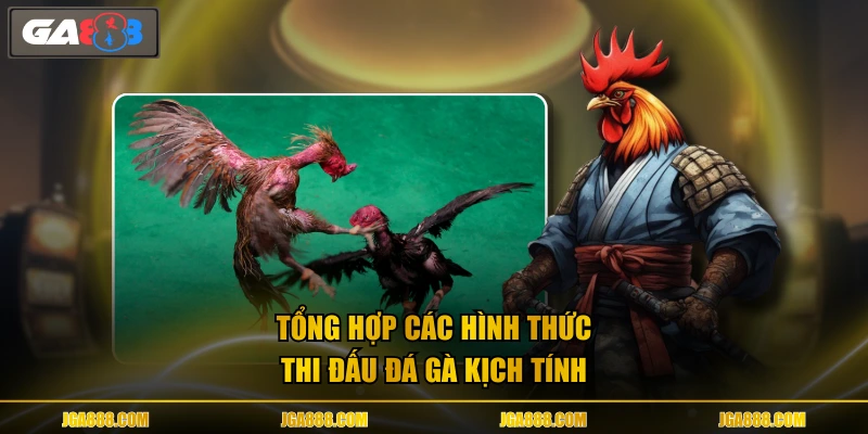 Tổng hợp các hình thức thi đấu đá gà kịch tính