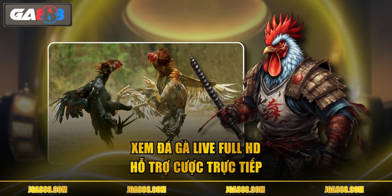 Xem đá gà live full HD hỗ trợ cược trực tiếp
